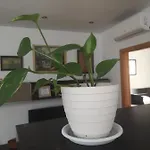 La Casita Del Arte 아파트