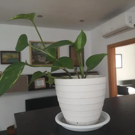 La Casita Del Arte Apartment