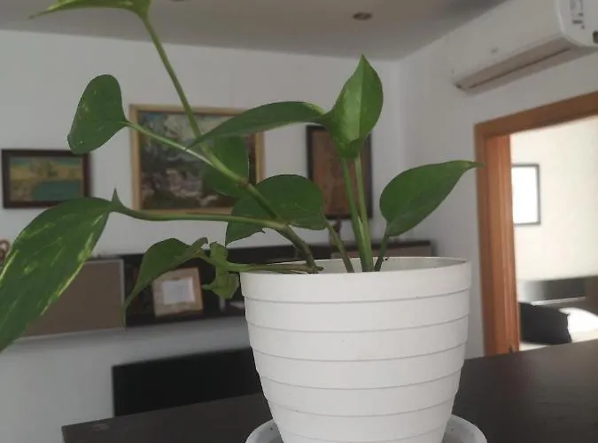 La Casita Del Arte Appartement